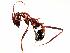  ( - MAS430-06)  @13 [ ] Unspecified (default): All Rights Reserved  Unspecified Unspecified