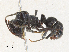 ( - CBG-A31775-B01)  @11 [ ] CreativeCommons - Attribution Share - Alike (2024) CBG Photography Group Centre for Biodiversity Genomics
