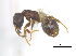  ( - BIOUG07487-A05)  @11 [ ] CreativeCommons - Attribution (2011) Unspecified Centre for Biodiversity Genomics