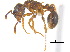  ( - BIOUG07487-A12)  @14 [ ] CreativeCommons - Attribution (2011) Unspecified Centre for Biodiversity Genomics