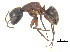  ( - BIOUG07487-B01)  @14 [ ] CreativeCommons - Attribution (2011) Unspecified Centre for Biodiversity Genomics