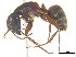  ( - BIOUG07487-B05)  @14 [ ] CreativeCommons - Attribution (2011) Unspecified Centre for Biodiversity Genomics