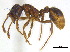  ( - BIOUG07487-C03)  @14 [ ] CreativeCommons - Attribution (2011) Unspecified Centre for Biodiversity Genomics