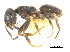  ( - BIOUG07487-D01)  @15 [ ] CreativeCommons - Attribution (2011) Unspecified Centre for Biodiversity Genomics