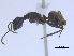  ( - BIOUG07487-E04)  @14 [ ] CreativeCommons - Attribution (2011) Unspecified Centre for Biodiversity Genomics