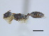  ( - BIOUG07487-E10)  @11 [ ] CreativeCommons - Attribution (2011) Unspecified Centre for Biodiversity Genomics