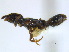  ( - BIOUG07487-G07)  @11 [ ] CreativeCommons - Attribution (2011) Unspecified Centre for Biodiversity Genomics