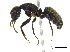  ( - BIOUG07487-H01)  @15 [ ] CreativeCommons - Attribution (2011) Unspecified Centre for Biodiversity Genomics