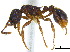  ( - BIOUG07487-H06)  @15 [ ] CreativeCommons - Attribution (2011) Unspecified Centre for Biodiversity Genomics
