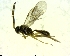  ( - BIOUG02683-H01)  @12 [ ] CreativeCommons - Attribution (2011) M. Alex Smith Centre for Biodiversity Genomics