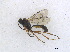  ( - BIOUG06753-E02)  @12 [ ] CreativeCommons - Attribution (2013) M. Alex Smith Centre for Biodiversity Genomics