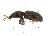  ( - BIOUG06758-A05)  @12 [ ] CreativeCommons - Attribution (2013) M. Alex Smith Centre for Biodiversity Genomics