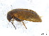  ( - BIOUG06758-B11)  @13 [ ] CreativeCommons - Attribution (2013) M. Alex Smith Centre for Biodiversity Genomics