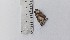  ( - JAMASA1E6-LD03.4)  @11 [ ] Copyright (2023) Instituto de Investigacion Alexander von Humboldt (IAvH) Instituto de Investigacion Alexander von Humboldt (IAvH)