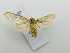  ( - LUZASA1E9-LN615)  @11 [ ] Copyright (2023) Insitituto de Investigacion  Alexander von Humboldt (IAvH) Insitituto de Investigacion de Recursos Biologicos Alexander von Humboldt