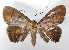  ( - VANASA1E6-LN263)  @11 [ ] Copyright (2023) Insitituto de Investigacion  Alexander von Humboldt (IAvH) Insitituto de Investigacion de Recursos Biologicos Alexander von Humboldt