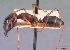  ( - CASENT0060049-D01)  @13 [ ] Unspecified (default): All Rights Reserved  Unspecified Unspecified