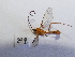  ( - Malasa3_E16_Hym_MC29.2)  @11 [ ] Copyright (2023) Instituto de Investigacion Alexander von Humboldt (IAvH) Instituto de Investigacion Alexander von Humboldt (IAvH)