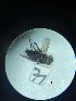  ( - Malasa3_E15_Dip_YE071.2)  @11 [ ] Copyright (2023) Instituto de Investigacion Alexander von Humboldt (IAvH) Instituto de Investigacion Alexander von Humboldt (IAvH)