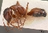  ( - CASENT0118436-D01)  @13 [ ] Unspecified (default): All Rights Reserved  Unspecified Unspecified
