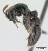  (Lividopone MG01 - CASENT0071136-D02)  @13 [ ] Unspecified (default): All Rights Reserved  Unspecified Unspecified