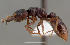  ( - CASENT0147042-D01)  @13 [ ] Unspecified (default): All Rights Reserved  Unspecified Unspecified