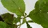  ( - PLANASAPL2_P2_1)  @11 [ ] Copyright (2023) Instituto de Investigacion Alexander von Humboldt (IAvH) Instituto de Investigacion Alexander von Humboldt (IAvH)
