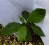  ( - PLANASAPL2_P2_1)  @11 [ ] Copyright (2023) Instituto de Investigacion Alexander von Humboldt (IAvH) Instituto de Investigacion Alexander von Humboldt (IAvH)