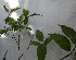  ( - PLANASAB1_P2_3)  @11 [ ] Copyright (2023) Instituto de Investigacion Alexander von Humboldt (IAvH) Instituto de Investigacion Alexander von Humboldt (IAvH)