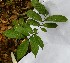  ( - PLANASAB4_P5_5)  @11 [ ] Copyright (2023) Instituto de Investigacion Alexander von Humboldt (IAvH) Instituto de Investigacion Alexander von Humboldt (IAvH)