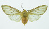  ( - INB0003058433)  @13 [ ] Copyright (2010) A. Solis Instituto Nacional de Biodiversidad