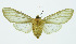  ( - INB0003058433)  @13 [ ] Copyright (2010) A. Solis Instituto Nacional de Biodiversidad
