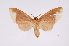  ( - INB0003125791)  @11 [ ] Copyright (2012) B. Espinoza Instituto Nacional de Biodiversidad