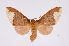  ( - INB0003155036)  @13 [ ] Copyright (2012) B. Espinoza Instituto Nacional de Biodiversidad