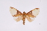  ( - INB0003172604)  @11 [ ] Copyright (2012) B. Espinoza Instituto Nacional de Biodiversidad
