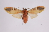  ( - INB0003301133)  @12 [ ] Copyright (2012) B. Espinoza Instituto Nacional de Biodiversidad