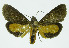  ( - INB0003325919)  @12 [ ] CreativeCommons - Attribution Non-Commercial No Derivatives (2011) Alex Smith University of Guelph