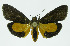  ( - INB0003327189)  @13 [ ] CreativeCommons - Attribution Non-Commercial No Derivatives (2011) Alex Smith University of Guelph