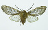  ( - INB0003327971)  @13 [ ] Copyright (2010) A. Solis Instituto Nacional de Biodiversidad