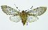  ( - INB0003327971)  @13 [ ] Copyright (2010) A. Solis Instituto Nacional de Biodiversidad