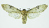  ( - INB0003340792)  @13 [ ] CreativeCommons - Attribution Non-Commercial No Derivatives (2011) Alex Smith University of Guelph