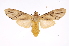  ( - INB0003351582)  @11 [ ] Copyright (2012) B. Espinoza Instituto Nacional de Biodiversidad