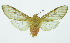  ( - INB0003366224)  @13 [ ] Copyright (2010) A. Solis Instituto Nacional de Biodiversidad