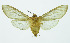  ( - INB0003366224)  @13 [ ] Copyright (2010) A. Solis Instituto Nacional de Biodiversidad