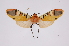  ( - INB0003386810)  @12 [ ] Copyright (2012) B. Espinoza Instituto Nacional de Biodiversidad