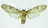  ( - INB0003401848)  @13 [ ] CreativeCommons - Attribution Non-Commercial No Derivatives (2011) Alex Smith University of Guelph