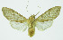  ( - INB0003433479)  @14 [ ] CreativeCommons - Attribution Non-Commercial No Derivatives (2011) Alex Smith University of Guelph