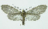  ( - INB0003459830)  @11 [ ] CreativeCommons - Attribution Non-Commercial No Derivatives (2011) Alex Smith University of Guelph