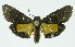  ( - INB0003459914)  @13 [ ] CreativeCommons - Attribution Non-Commercial No Derivatives (2011) Alex Smith University of Guelph