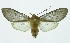  ( - INB0003487083)  @13 [ ] Copyright (2010) A. Solis Instituto Nacional de Biodiversidad